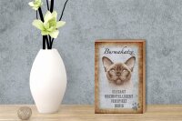 Holzschild Spruch 12x18cm Burmakatze Katze Schild