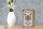Holzschild Spruch 12x18cm Burmakatze Katze Schild