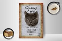 Holzschild Spruch 12x18cm Chartreux Katze stark Schild