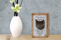 Holzschild Spruch 12x18cm Chartreux Katze stark Schild