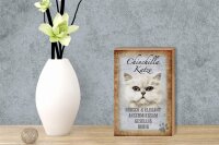 Holzschild Spruch 12x18cm Chinchilla Katze hübsch elegant