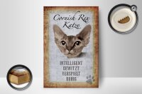 Holzschild Spruch 12x18cm Cornish Rex Katze Schild