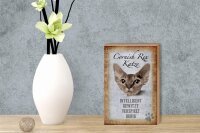 Holzschild Spruch 12x18cm Cornish Rex Katze Schild