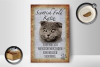 Holzschild Spruch 12x18cm Scottish Fold Katze Schild