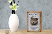 Holzschild Spruch 12x18cm Scottish Fold Katze Schild