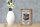 Holzschild Spruch 12x18cm Scottish Fold Katze Schild
