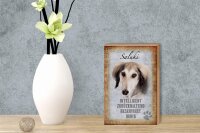 Holzschild Spruch 12x18cm Saluki Hund ruhig Schild