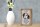 Holzschild Spruch 12x18cm Saluki Hund ruhig Schild