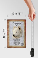 Holzschild Spruch 12x18cm Samojede Hund Schild