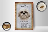 Holzschild Spruch 12x18cm Shih Tzu Hund Schild