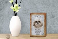 Holzschild Spruch 12x18cm Shih Tzu Hund Schild