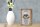 Holzschild Spruch 12x18cm Shih Tzu Hund Schild