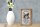 Holzschild Spruch 12x18cm Yorkshire Hund Schild