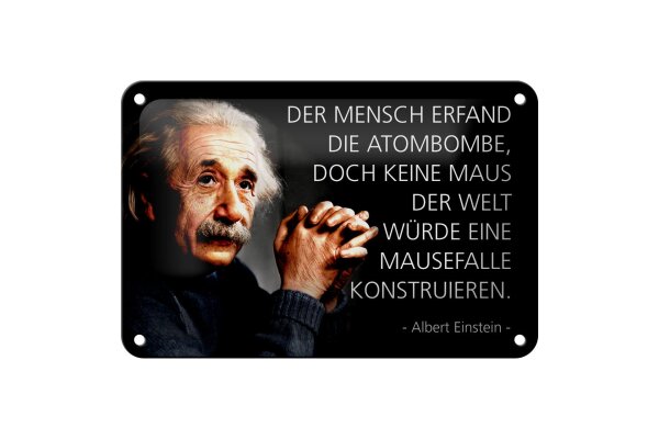 Blechschild Zitat 12x18 cm Einstein Atombombe und Mausefalle Deko Schild