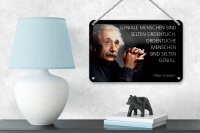Blechschild Zitat 12x18 cm Einstein Geniale ordentliche Menschen Deko Schild