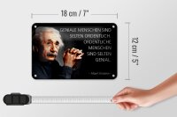 Blechschild Zitat 12x18 cm Einstein Geniale ordentliche Menschen Deko Schild