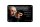 Blechschild Zitat 12x18 cm Einstein Geniale ordentliche Menschen Deko Schild