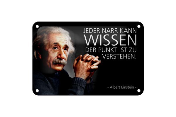 Blechschild Zitat 12x18 cm Einstein Der Punkt ist zu verstehen Deko Schild
