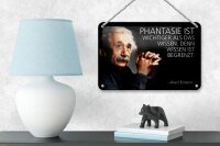 Blechschild Zitat 12x18 cm Einstein Wissen ist begrenzt Deko Schild