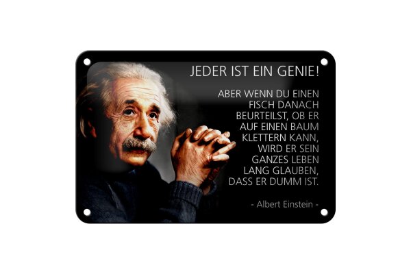 Blechschild Zitat 12x18 cm Einstein Jeder ist ein Genie Deko Schild
