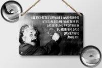 Blechschild Zitat 12x18 cm Einstein Tafel Reinste Form des Wahnsinns Deko Schild