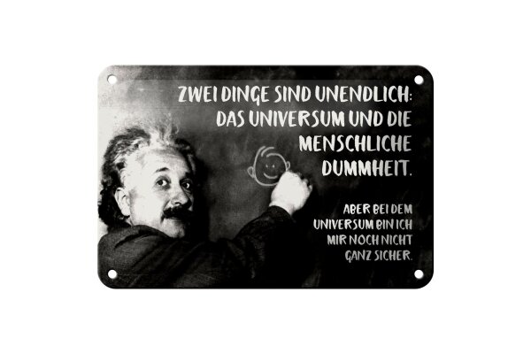 Blechschild Zitat 12x18 cm Einstein Tafel zwei Dinge sind unendlich Deko Schild