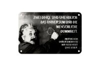 Blechschild Zitat 12x18 cm Einstein Tafel zwei Dinge sind unendlich Deko Schild