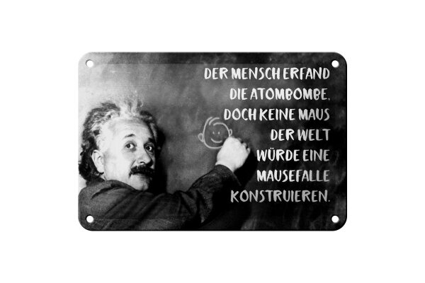 Blechschild Zitat 12x18 cm Einstein Tafel Atombombe und Mausefalle Deko Schild