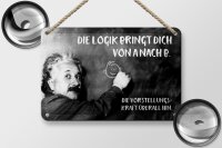 Blechschild Zitat 12x18 cm Einstein Tafel Logik Vorstellungskraft Deko Schild