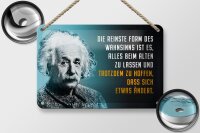 Blechschild Zitat 12x18 cm Einstein blau Reinste Form des Wahnsinns Deko Schild