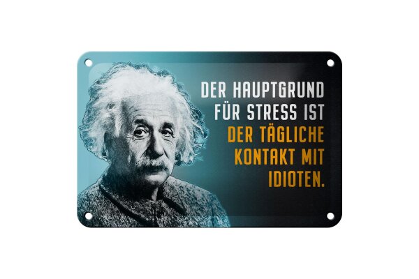 Blechschild Zitat 12x18 cm Einstein blau Hauptgrund für Stress Deko Schild