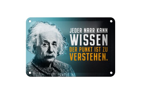 Blechschild Zitat 12x18 cm Einstein blau Der Punkt ist zu verstehen Deko Schild
