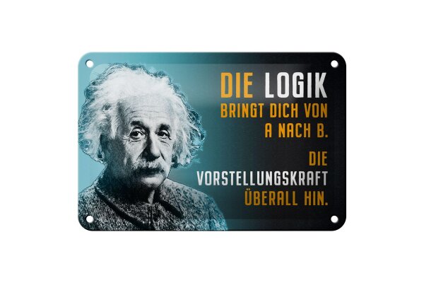Blechschild Zitat 12x18 cm Einstein blau Logik Vorstellungskraft Deko Schild