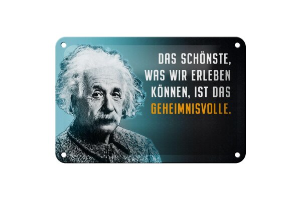 Blechschild Zitat 12x18 cm Einstein blau schönste was wir erleben können Schild