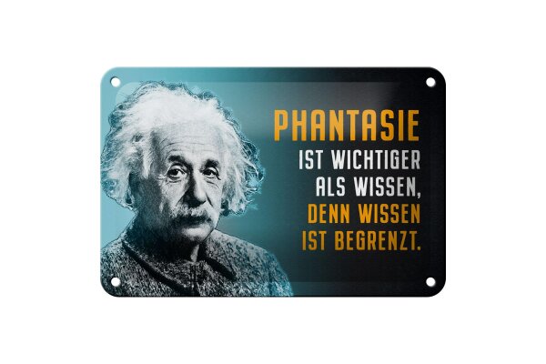 Blechschild Zitat 12x18 cm Einstein blau Wissen ist begrenzt Deko Schild