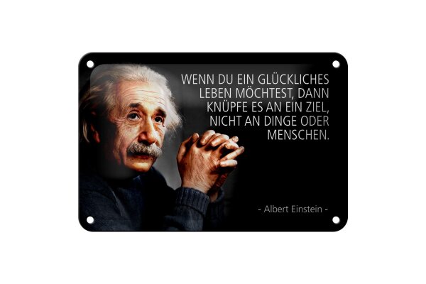 Blechschild Zitat 12x18 cm Einstein knüpfe es an ein Ziel Deko Schild