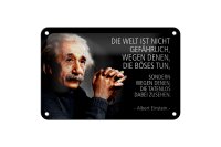 Blechschild Zitat 12x18 cm Einstein Die Welt ist nicht gefährlich, wegen Schild