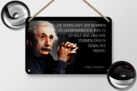 Blechschild Zitat 12x18 cm Einstein Die Herrschaft der Dummen Deko Schild