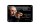 Blechschild Zitat 12x18 cm Einstein Dankbar, alle die Nein zu mir gesagt haben