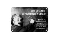 Blechschild Zitat 12x18 cm Einstein Tafel der gesunde Menschenverstand Schild