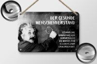 Blechschild Zitat 12x18 cm Einstein Tafel der gesunde Menschenverstand Schild
