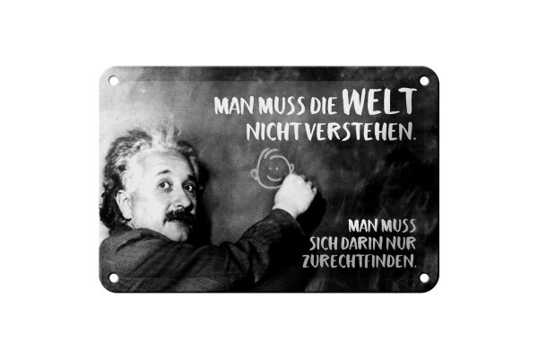 Blechschild Zitat 12x18 cm Einstein Tafel Man muss die Welt nicht verstehen