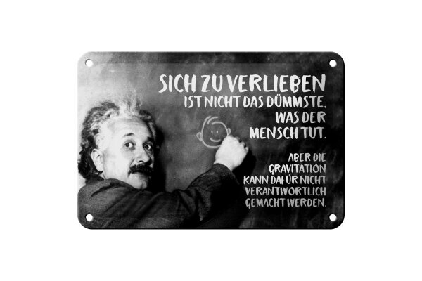 Blechschild Zitat 12x18 cm Einstein Tafel Sich zu verlieben Deko Schild