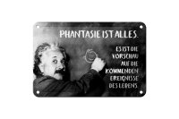 Blechschild Zitat 12x18 cm Einstein Tafel Phantasie ist Alles Deko Schild