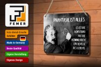 Blechschild Zitat 12x18 cm Einstein Tafel Phantasie ist Alles Deko Schild
