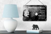 Blechschild Zitat 12x18 cm Einstein Tafel Phantasie ist Alles Deko Schild
