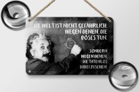 Blechschild Zitat 12x18 cm Einstein Tafel Die Welt ist nicht gefährlich, wegen