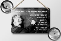 Blechschild Zitat 12x18 cm Einstein Tafel unterschätze nie ruhige Menschen