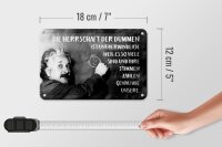 Blechschild Zitat 12x18 cm Einstein Tafel Die Herrschaft der Dummen Deko Schild