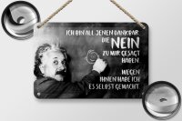 Blechschild Zitat 12x18 cm Einstein Tafel alle die Nein zu mir gesagt haben